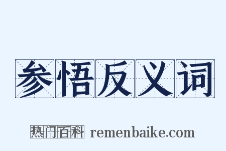 参悟反义词是什么意思的图片